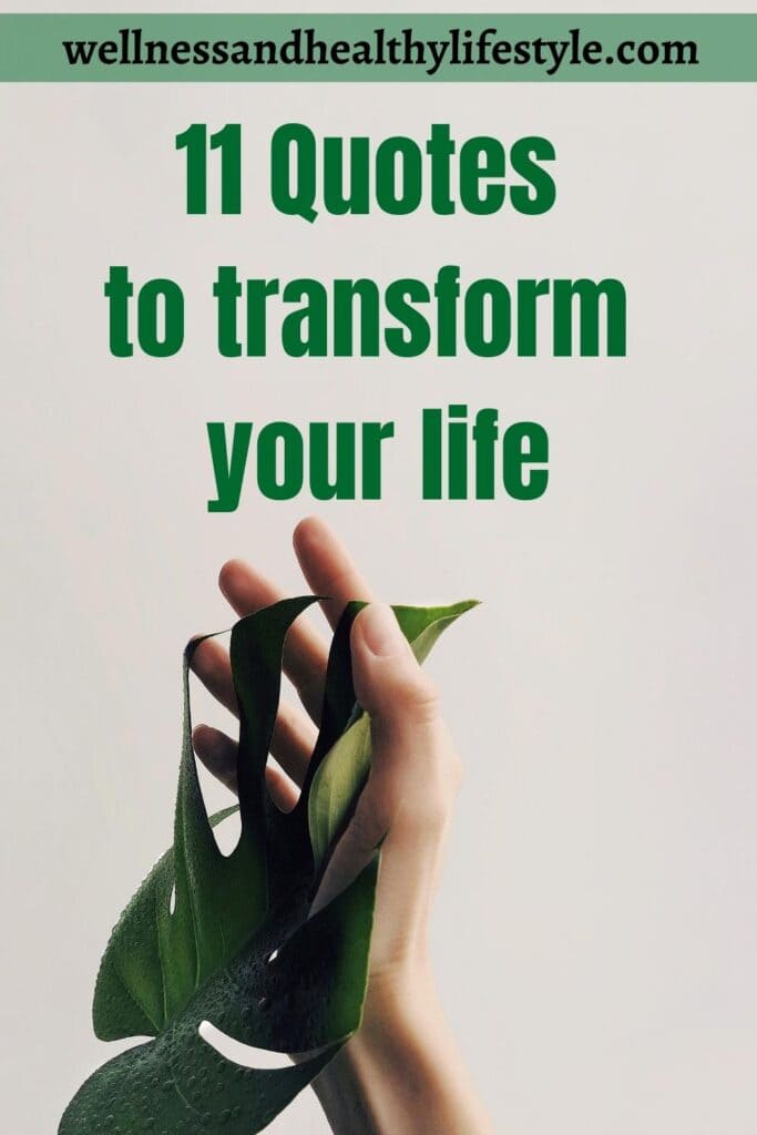 How To Successfully Transform Your Life With 11 Quotes