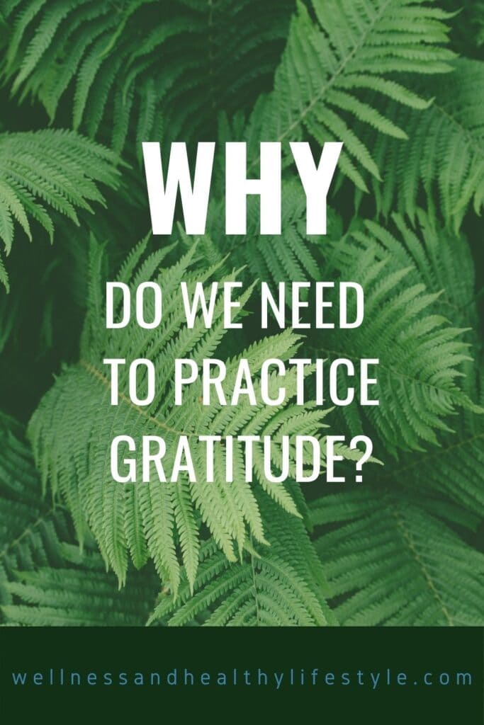 Why do you need to practice Gratitude?